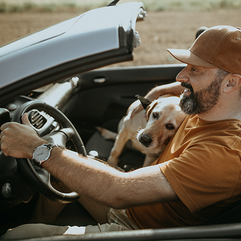 man in orange shirt driving a car with his dog