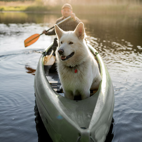 Man canoeing on a lake while his dog sits in the front part of the boat
