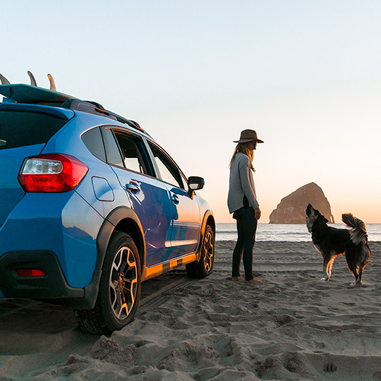 Woman standing on a beach with her dog next to her blue car that is parked