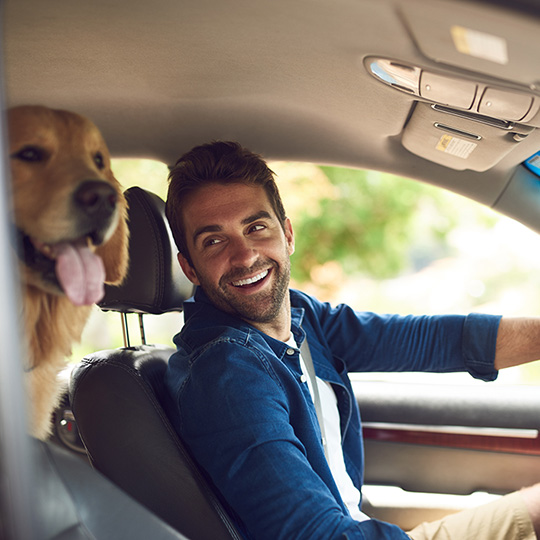 Man driving in a car with his dog image