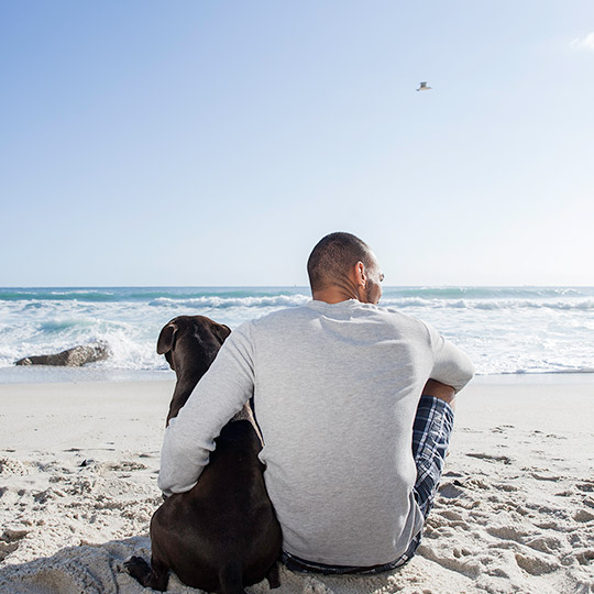 Man sitting on a beach next to his dog while facing and watching the waves