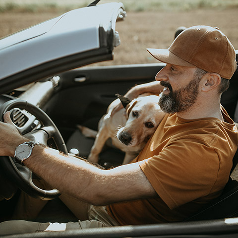 Man driving a convertable on the open road while his dog rests its head on his lap